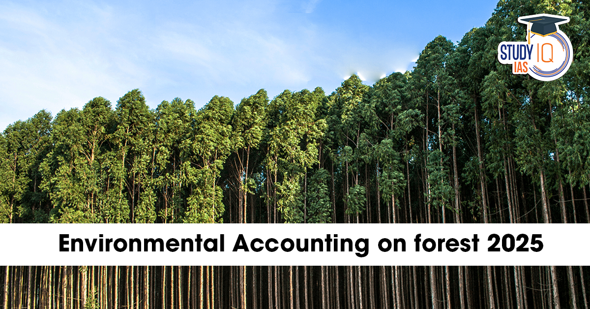 Environmental Accounting on Forest 2025