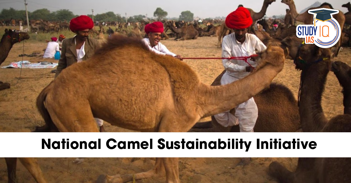 National Camel Sustainability Initiative
