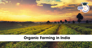Organic Farming in India