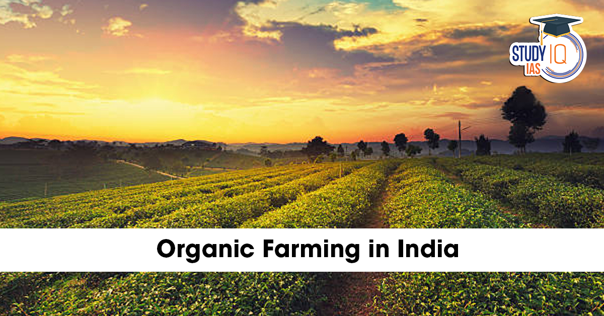 Organic Farming in India