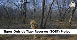 Tigers Outside Tiger Reserves