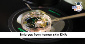 Embryos from Human Skin DNA