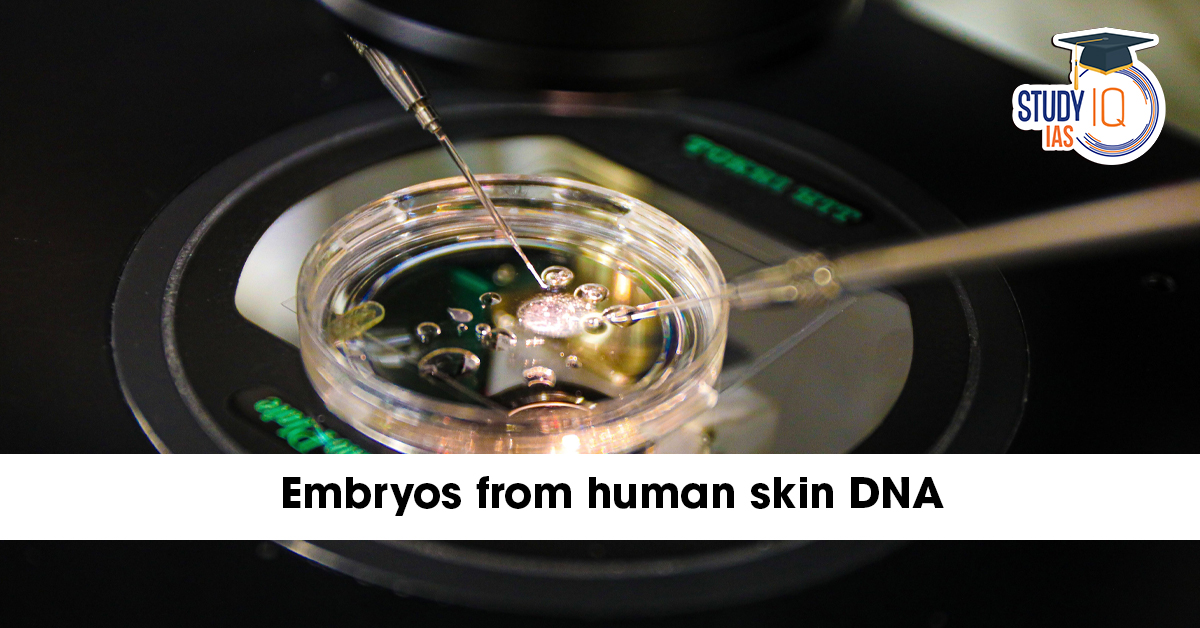 Embryos from Human Skin DNA