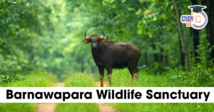Barnawapara Wildlife Sanctuary
