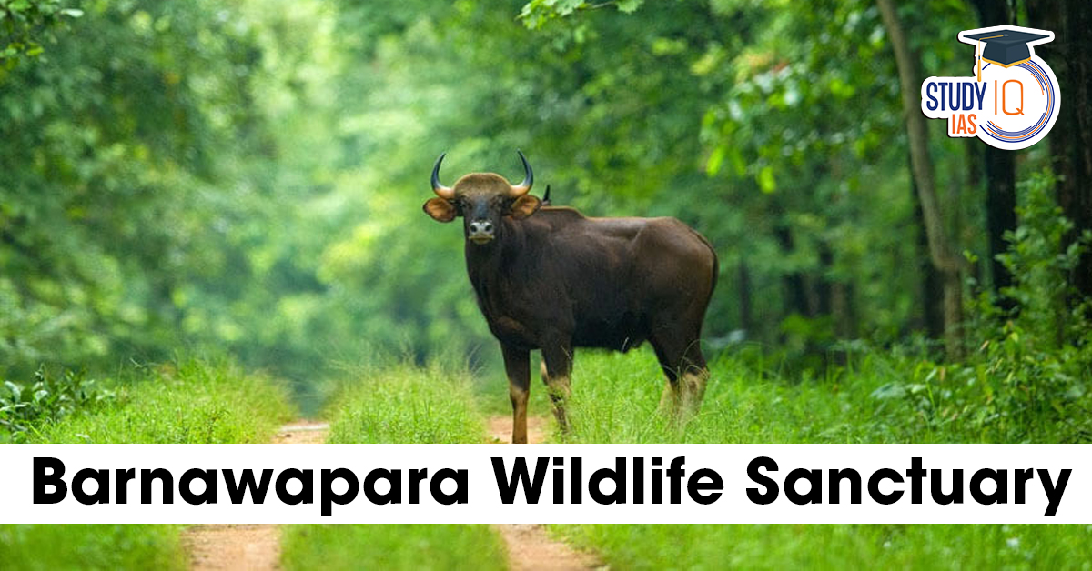 Barnawapara Wildlife Sanctuary