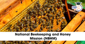 National Beekeeping and Honey Mission (NBHM)