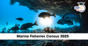 Marine Fisheries Census 2025