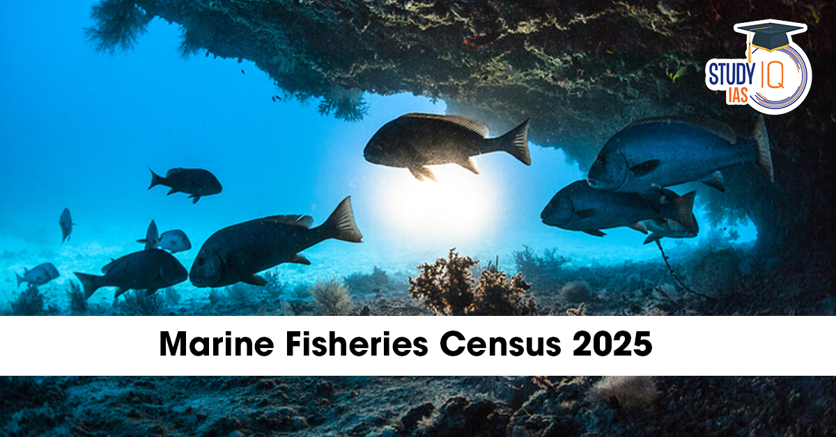 Marine Fisheries Census 2025