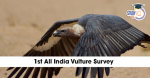 1st All India Vulture Survey: WII Report Reveals 70% Decline in Historic Nesting Sites