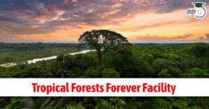 Tropical Forests Forever Facility (TFFF): Brazil’s $125 Billion Global Fund to Protect Forests