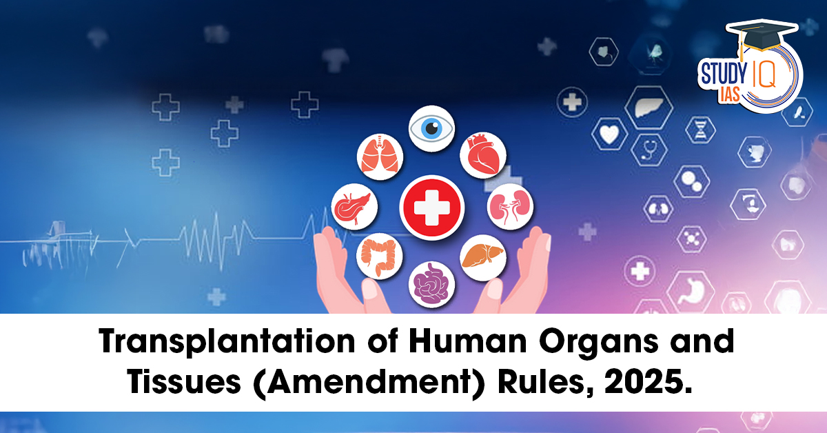 Transplantation of Human Organs and Tissues (Amendment) Rules, 2025
