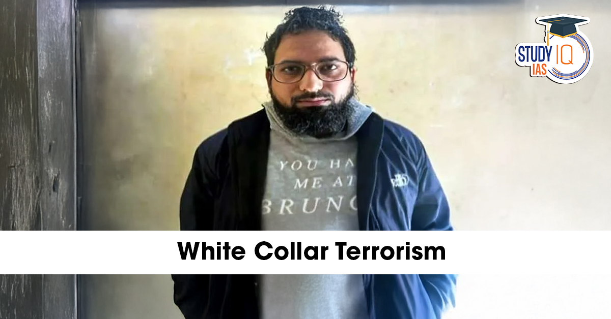 White-Collar Terrorism
