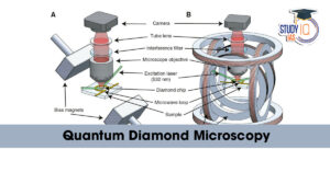 Quantum Diamond Microscopy