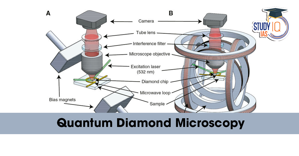 Quantum Diamond Microscopy