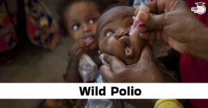 Wild Polio: Causes, Transmission, Symptoms, Prevention and Global Status