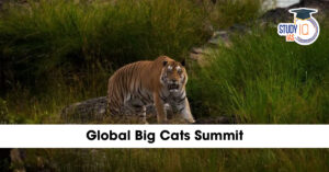 India to Host Global Big Cats Summit 2026 in New Delhi: Check Details