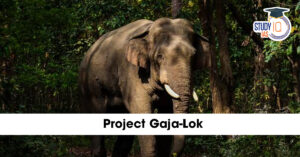 Project Gaja-Lok