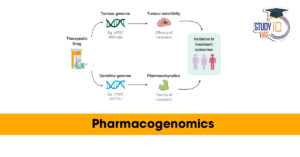 Pharmacogenomics