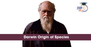 Origin of Species