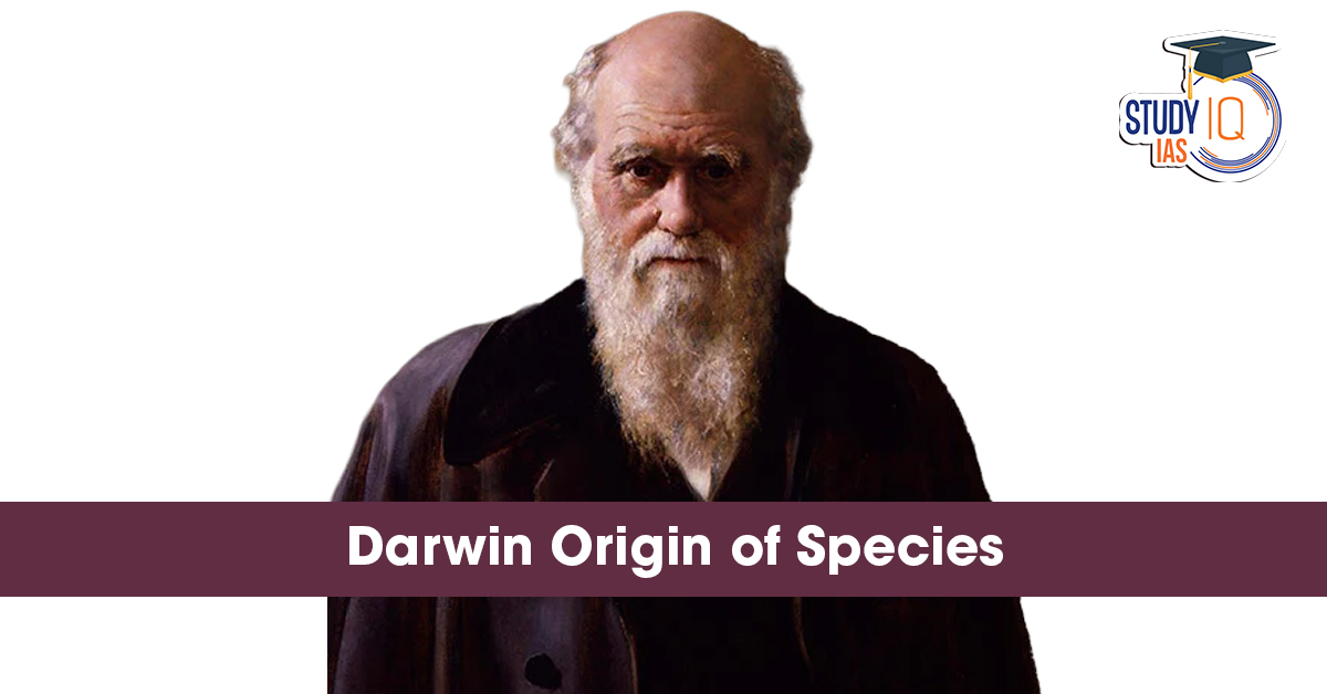 Origin of Species