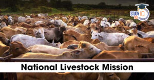 National Livestock Mission