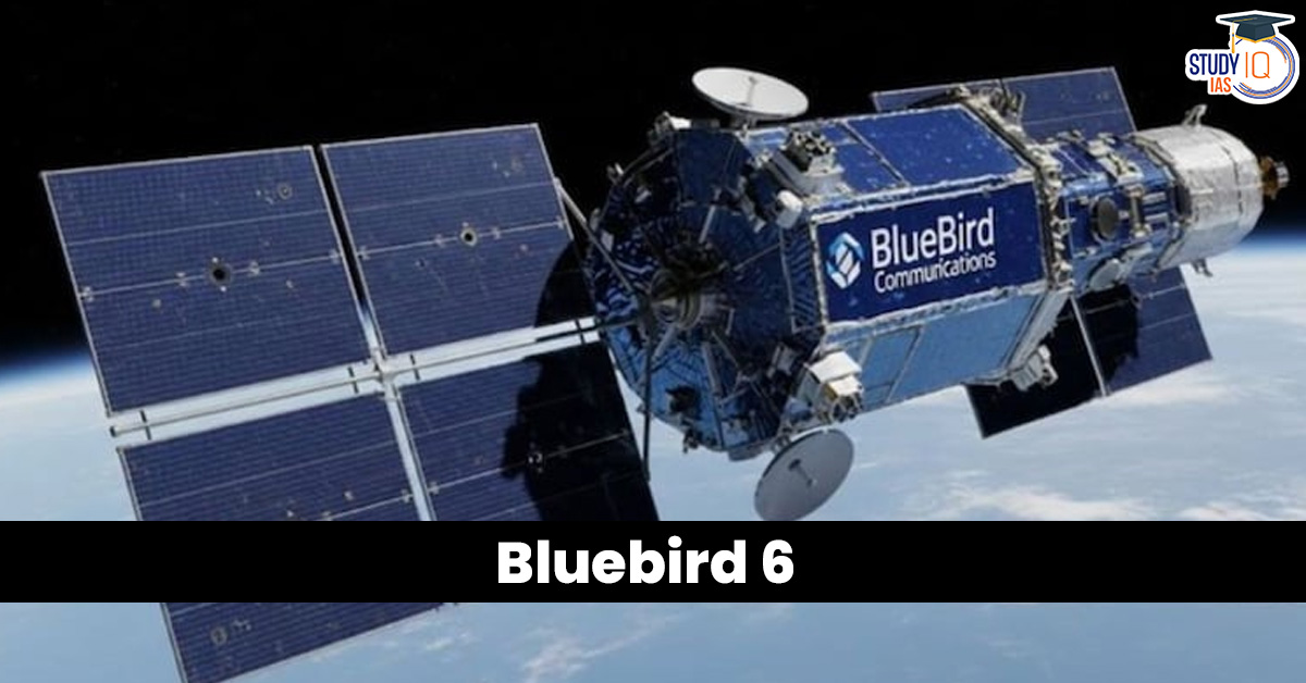BlueBird-6
