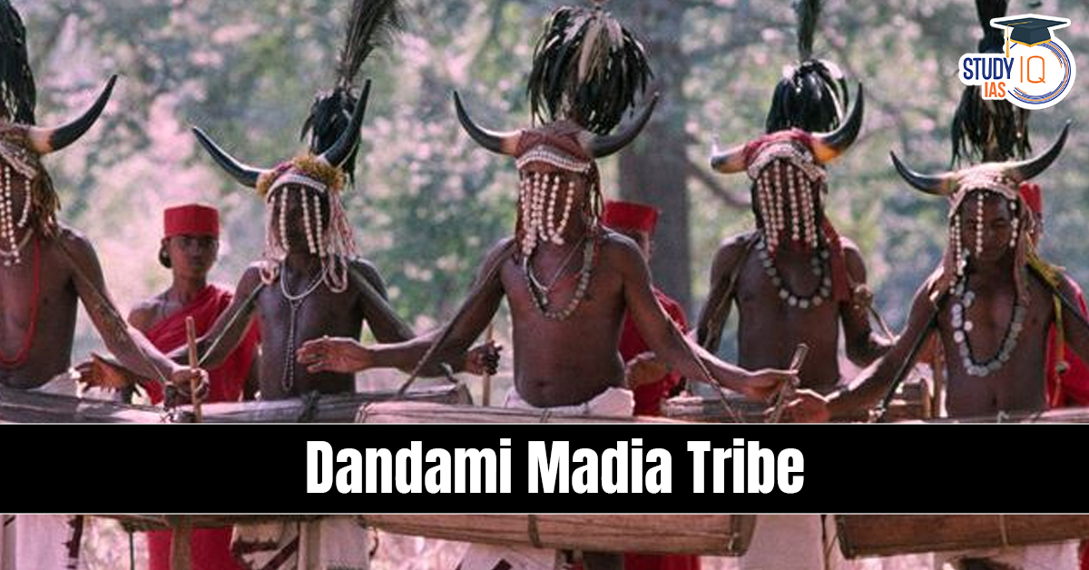 Dandami Maria Tribe