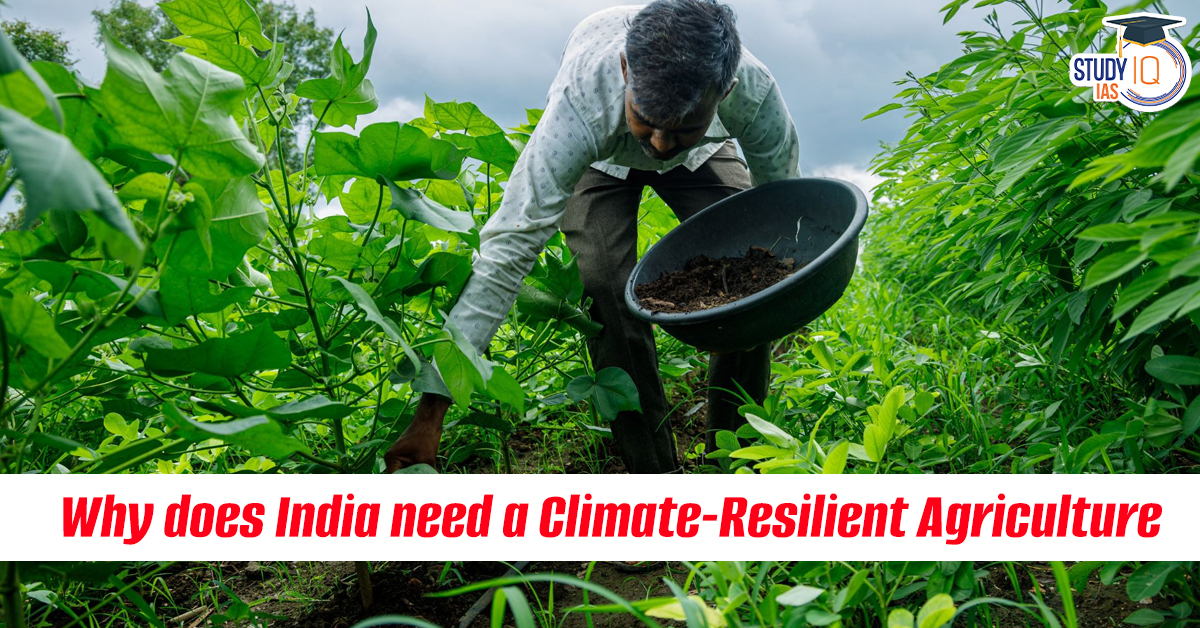 Why Does India Need Climate-Resilient Agriculture?