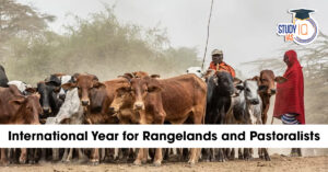 International Year for Rangelands and Pastoralists