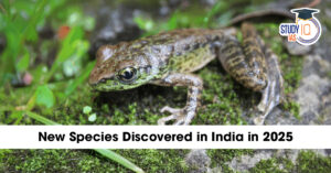 New Species Discovered in India in 2025: A Testament to the Nation’s Rich Biodiversity