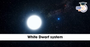 White Dwarf System