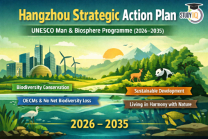 Hangzhou Strategic Action Plan