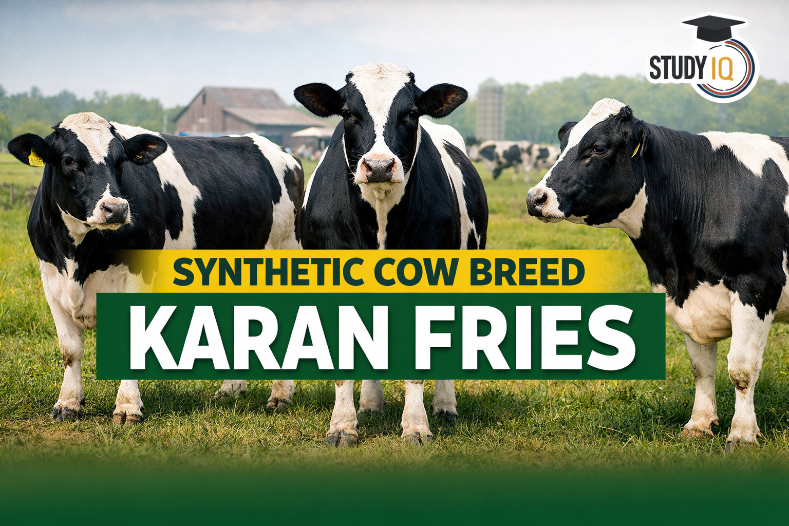 Synthetic Cow Breed Karan