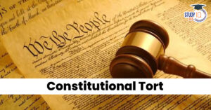 Constitutional Tort