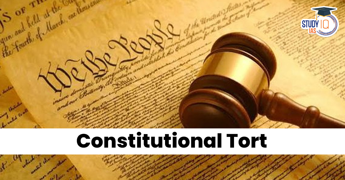 Constitutional Tort
