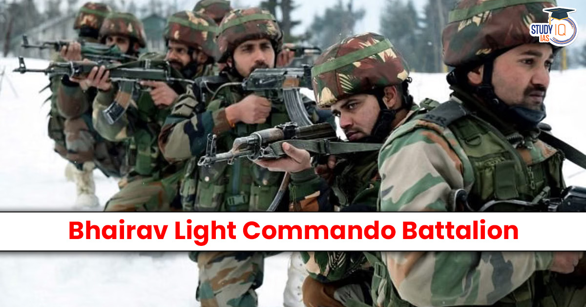 Bhairav Light Commando Battalion