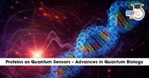 Proteins as quantum sensors