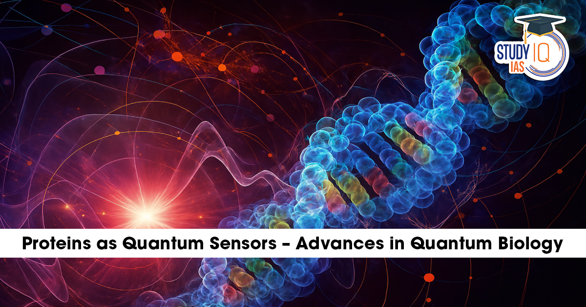 Proteins as quantum sensors