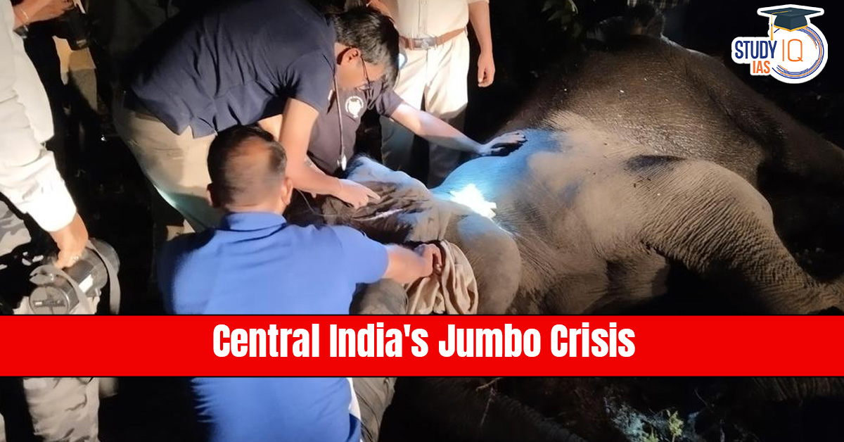 jumbo crisis