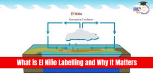 El Niño labelling
