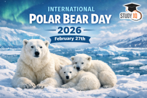International Polar Bear Day 2026