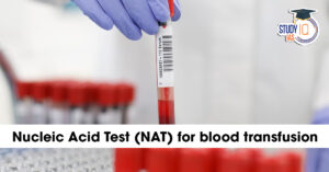 Nucleic Acid Testing (NAT): Meaning, Working, Importance in Blood Transfusion