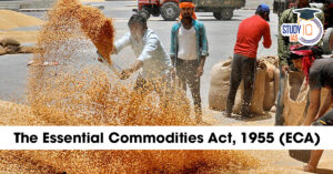 Essential Commodities Act