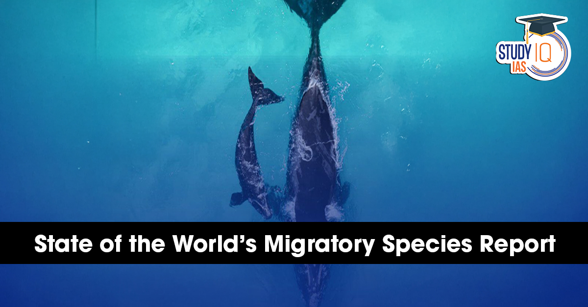 Migratory Species