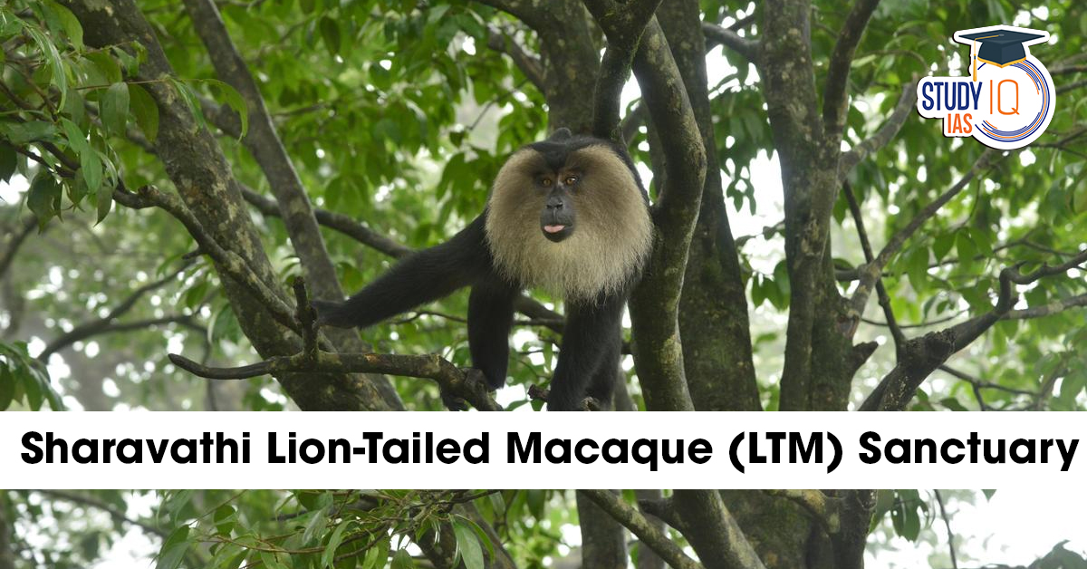 Sharavathi Lion-Tailed Macaque Sanctuary