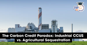 Carbon Credit Paradox