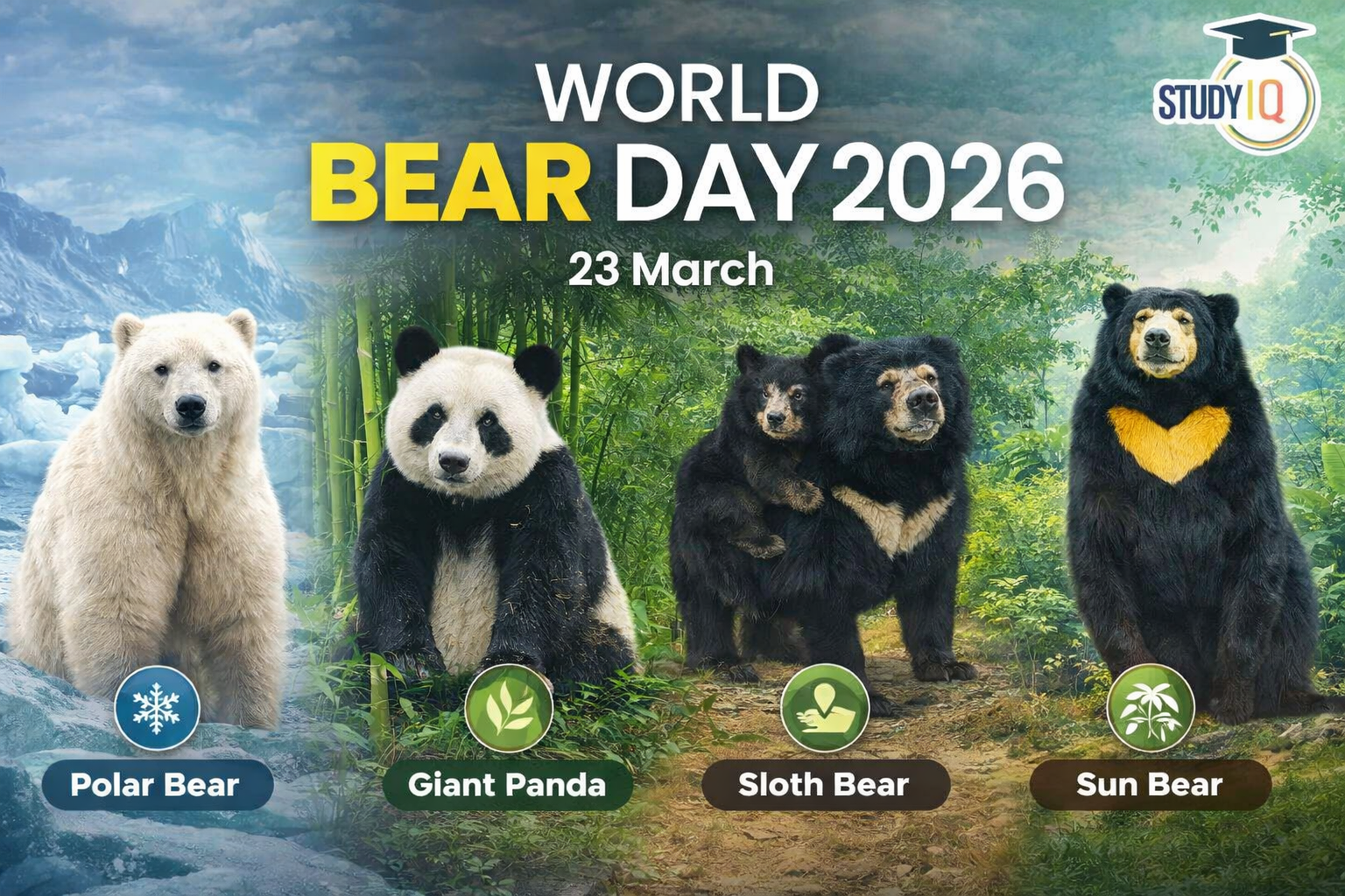 World Bear Day 2026