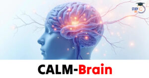 CALM-Brain
