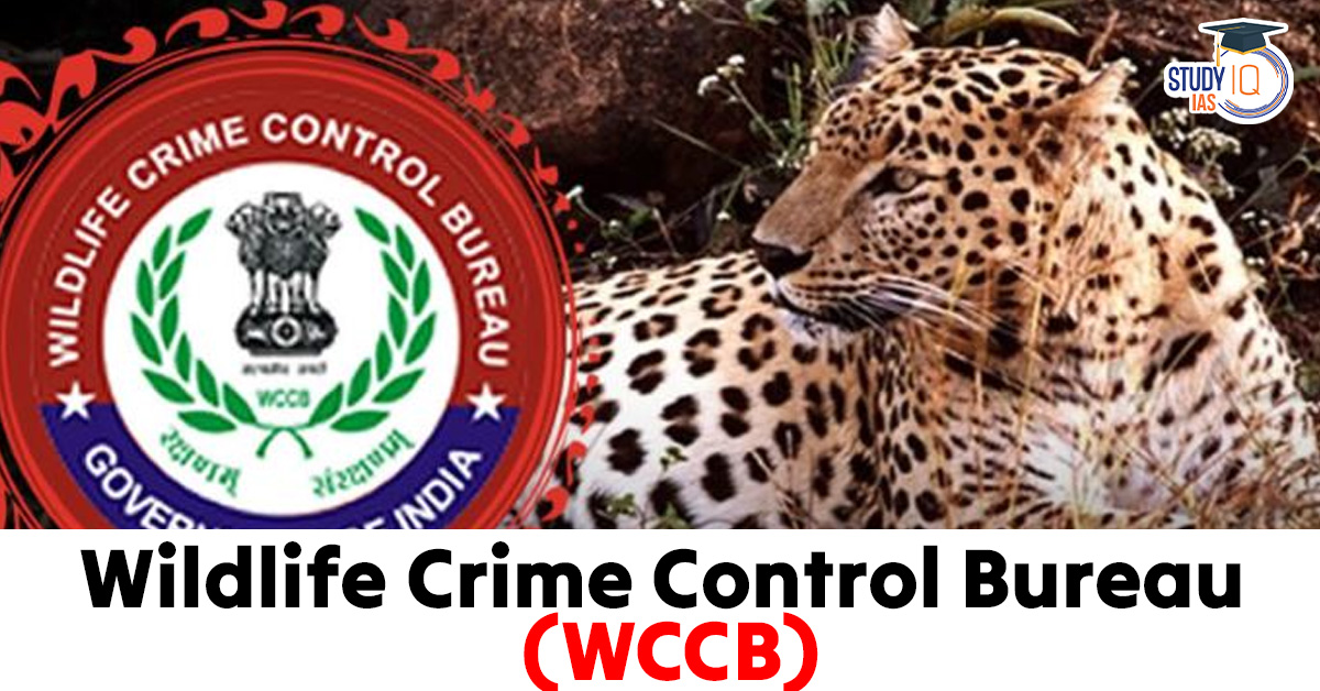 Wildlife Crime Control Bureau (WCCB)