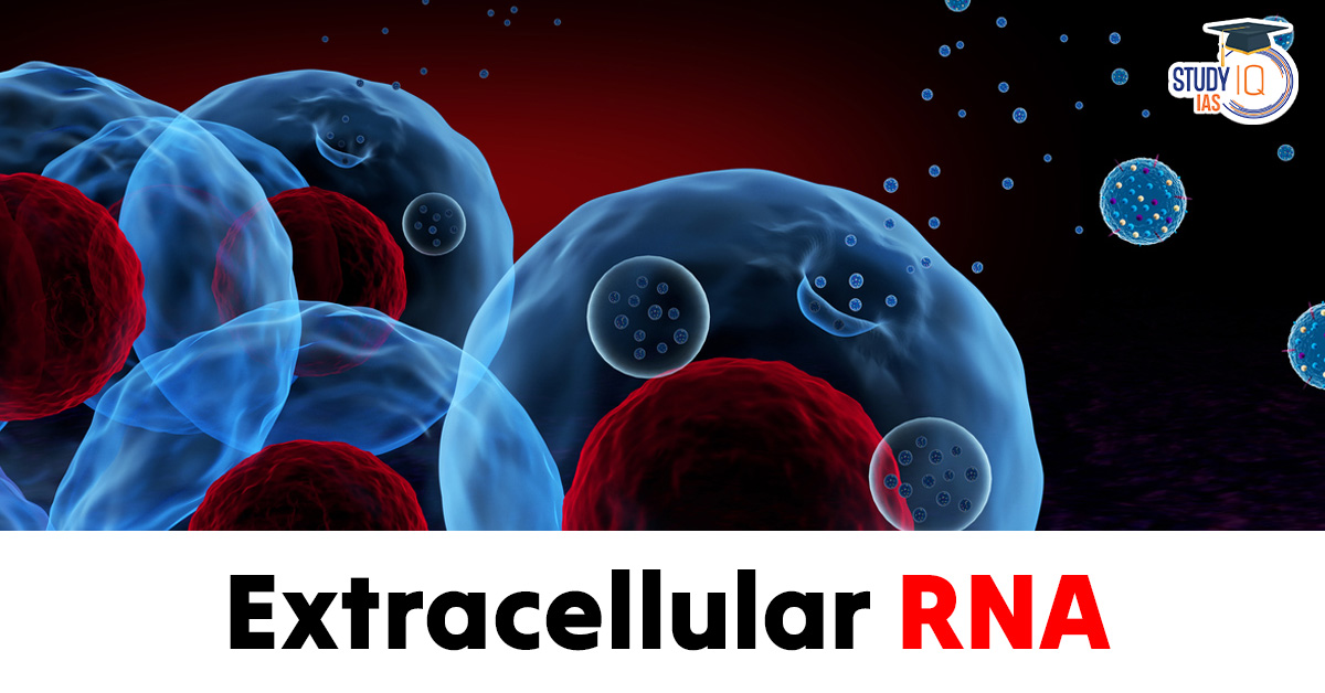 Extracellular RNA (exRNA)